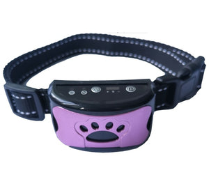 Pet Supplies